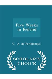 Five Weeks in Iceland - Scholar's Choice Edition