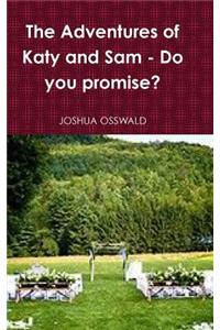 The Adventures of Katy and Sam - Do You Promise?