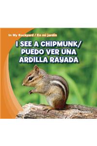 I See a Chipmunk / Puedo Ver Una Ardilla Rayada