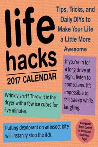 Life Hacks 2017 Day Calendar