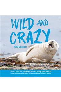 Wild and Crazy 2019 Wall Calendar