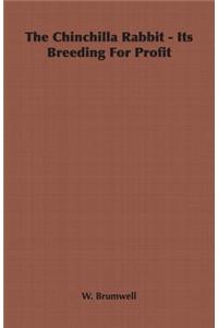 The Chinchilla Rabbit - Its Breeding for Profit