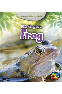Animal Life Stories Life Story of a Frog