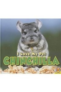 Chinchilla