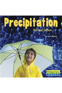 Precipitation