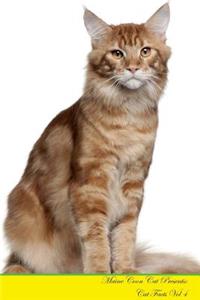 Maine Coon Cat Presents