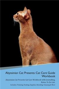 Abyssinian Cat Presents