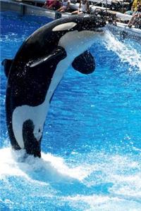 Orca Killer Whale Journal