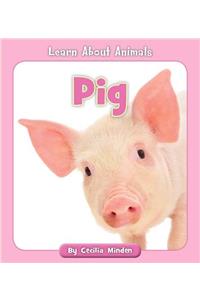 Pig