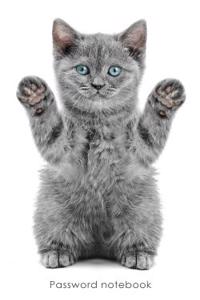 Password Notebook: Small Internet Address and Password Logbook / Journal / Diary - Playful Kitten Cover