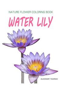 Water Lily