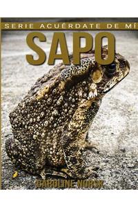 Sapo