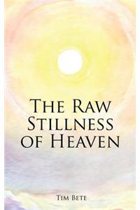 Raw Stillness of Heaven