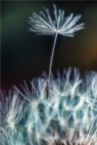 Journal Dandelion Seed In Wind Close Up