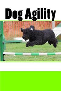 Dog Agility (Journal / Notebook)