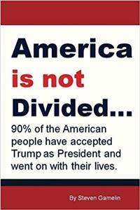 America Is Not Divided...: 90% of the American People Have Accepted Trump As President and Went on With Their Lives.
