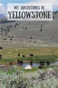 My Adventures in Yellowstone