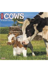 Just Cows 2019 Wall Calendar