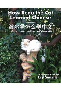 How Beau the Cat Learned Chinese