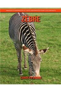 Zèbre