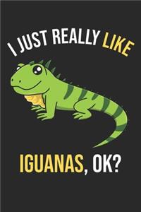 I Just Really Like Iguanas, OK?
