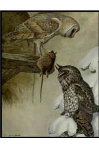 Owl Ephemera Weekly Planner