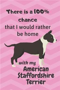There is a 100% chance that I would rather be home with my American Staffordshire Terrier