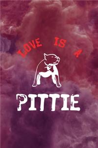 Love Is A Pittie