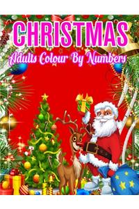 Christmas Adults Colour By Numbers