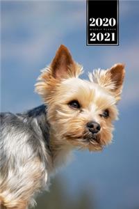 Yorkshire Terrier Dog Calendar Week Planner 2020 / 2021 - In the Nature
