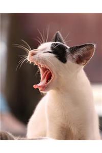 Bored Cat Yawn Dot Grid Bullet Journal