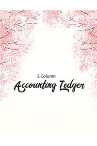 2 Column Accounting Ledger
