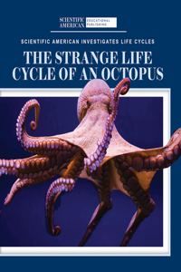 Strange Life Cycle of an Octopus