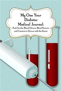 My One-Year Diabetes Medical Journal