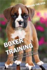 Boxer Training