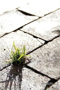 Journal Pages - Grass and Concrete(Unruled)