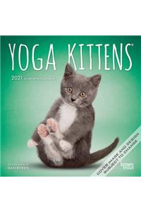 Yoga Kittens 2021 Mini 7x7