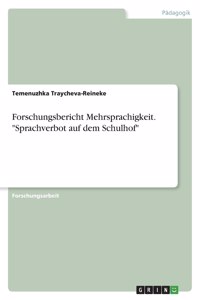Forschungsbericht Mehrsprachigkeit. 