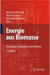 Energie Aus Biomasse