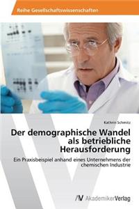 demographische Wandel als betriebliche Herausforderung