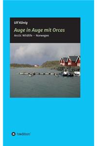 Auge in Auge mit Orcas