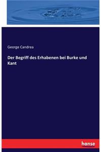 Begriff des Erhabenen bei Burke und Kant