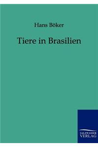 Tiere in Brasilien