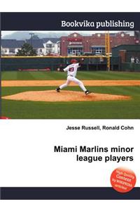 Miami Marlins Minor League Players