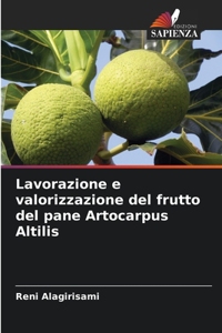 Lavorazione e valorizzazione del frutto del pane Artocarpus Altilis