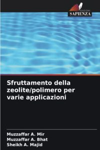 Sfruttamento della zeolite/polimero per varie applicazioni