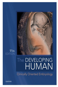 Developing Human