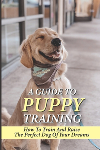 A Guide To Puppy Training