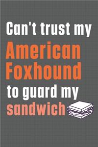 Can't trust my American Foxhound to guard my sandwich