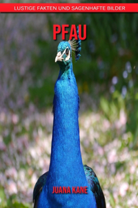 Pfau